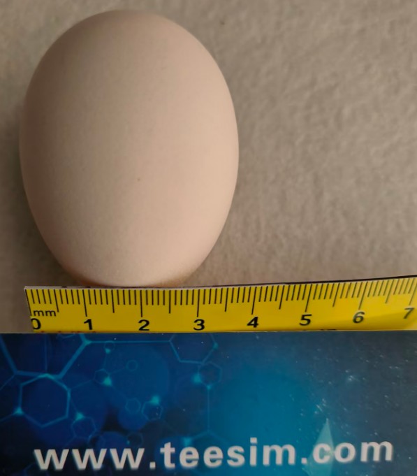 Impact_egg.jpg 电池包底部撞击头大小