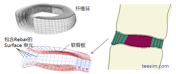 Lumbar_fiber.png 腰椎纤维环有限元模型